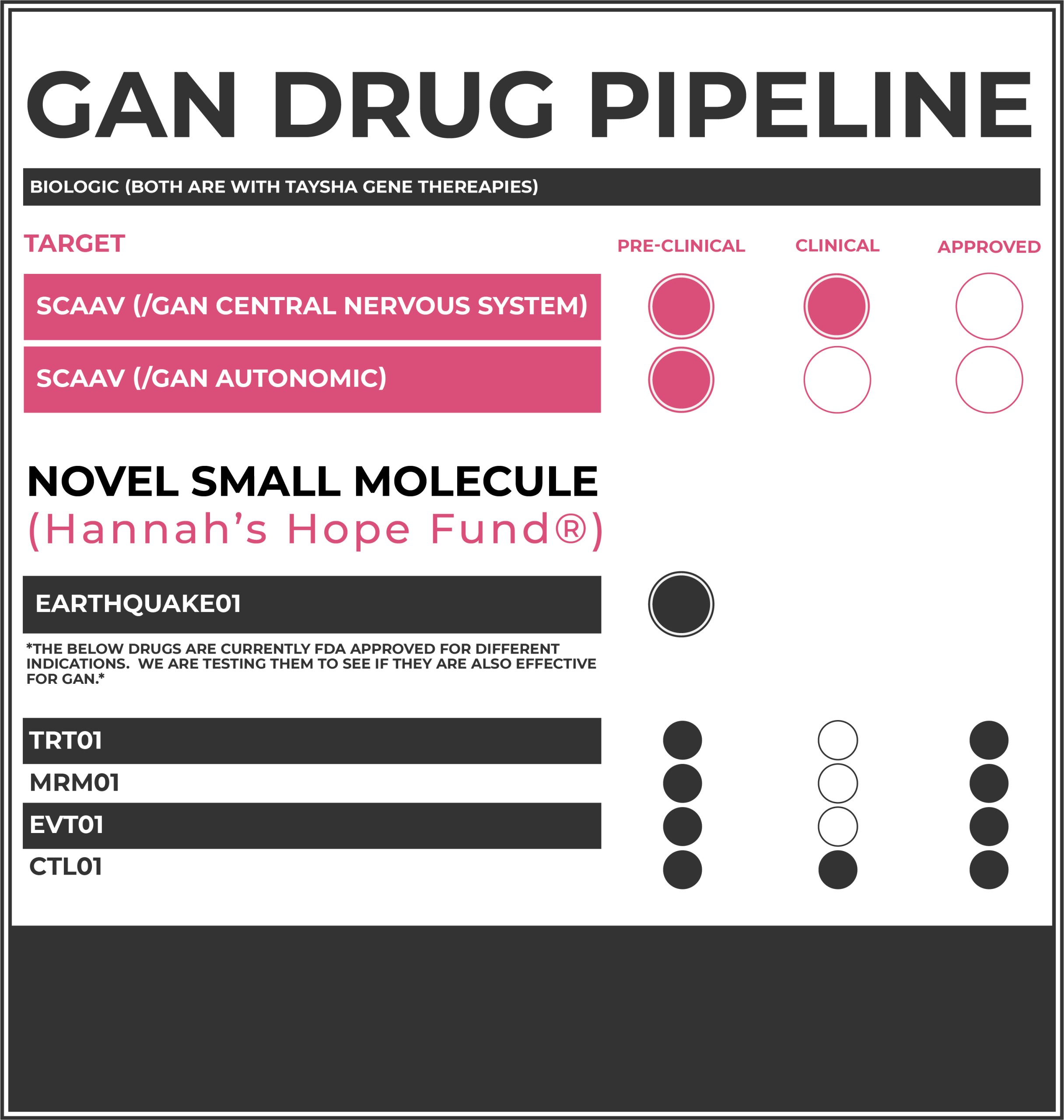 Giant Axonal Neuropathy (GAN) Drug Pipeline